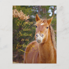 Cartões postais de cavalos sorridentes de Bíblia e