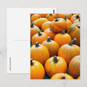 CARTÕES POSTAIS DE COLHEITA DO OUTONO DE PUMPKINS
