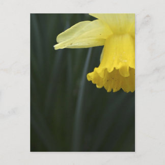 Cartões postais de desejos