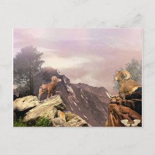 Cartões postais de dois caramujos no alto país