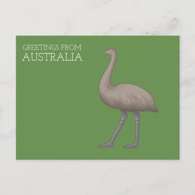 Cartões Postais de Emu Australianos (Frente)