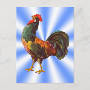 Cartões Postais de Endereço de Devolução Rooster V
