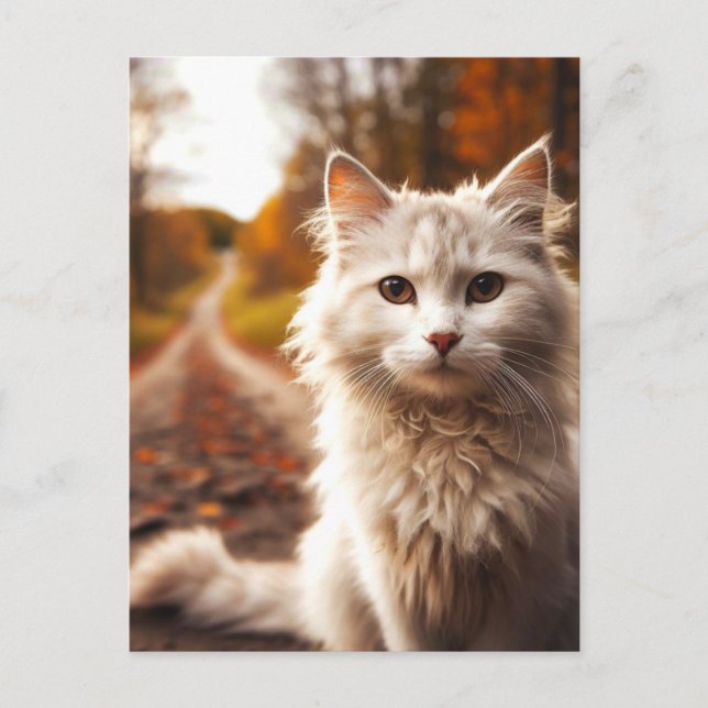 CARTÕES POSTAIS DE Gato Branco AUTUMN (Frente)