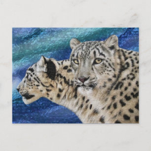 Cartões postais de habitat para leopardo-da-neve
