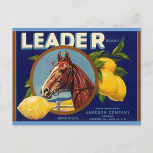 Cartões postais de Lemons Líder de Cavalo Geneal