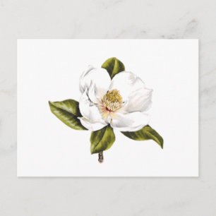 Cartões postais de mudança de endereço - conjun