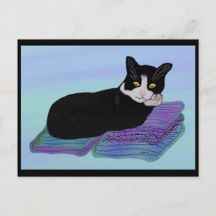 Cartões postais de Nap de Tuxedo Cat