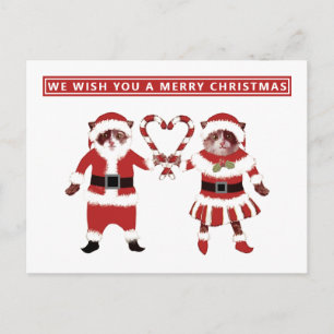Cartões postais de Natal de 2 Gatos
