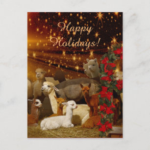 Cartões postais de Natal do Alpaca