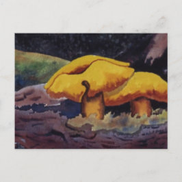 Cartões postais de Oportunidades Natureza