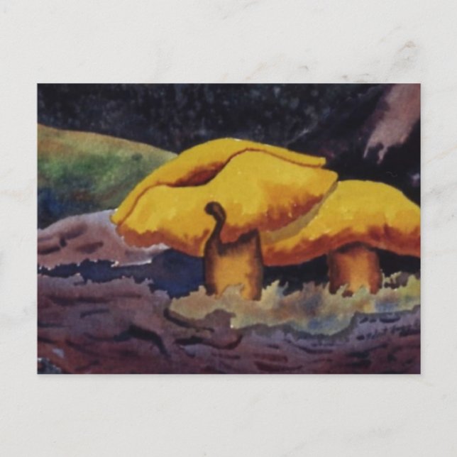 Cartões postais de Oportunidades Natureza (Frente)