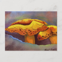 Cartões postais de Oportunidades Natureza