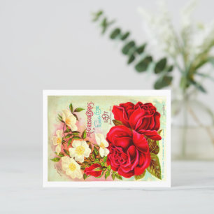 Cartões postais de pacote de semente de safra. 