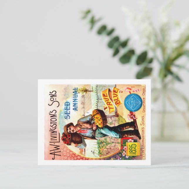 Cartões postais de pacotes de sementes. (Em pé/Frente)