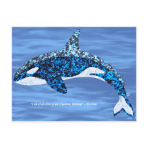 Cartões Postais de Pensamento Positivo da Orca