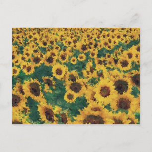 Cartões postais de pintura de girassol