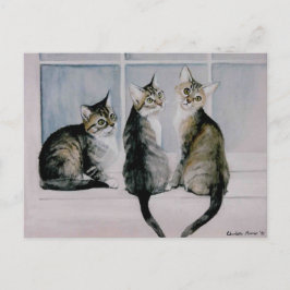Cartões postais de reprodução de arte "Três Kitten