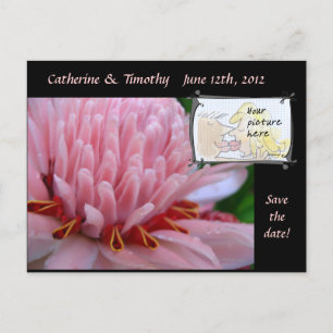 Cartões Postais de Save the Date Casamento Foto Pe