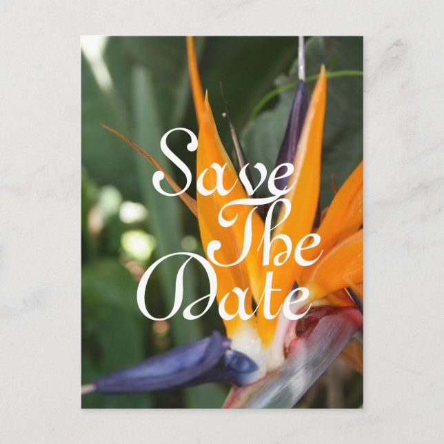 Cartões Postais de Save the Date Tropicais (Frente)