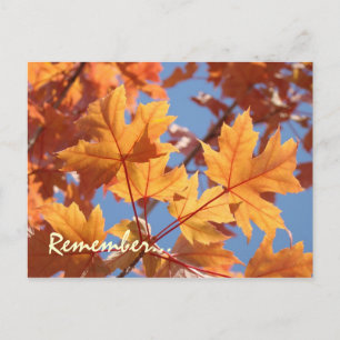 Cartões postais de serviço Lembretes do Tempo de S