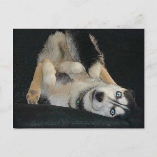 Cartões postais de sobreaquecimento (Frente)