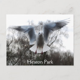 Cartões postais de voo