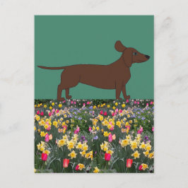 Cartões postais divertidos com Dachshund e Flor Fi