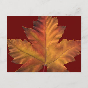 Cartões postais do Canadá personalizados Cartõe