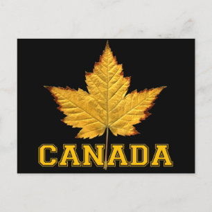 Cartões postais do Canadá Varsity Canadá Cartões p