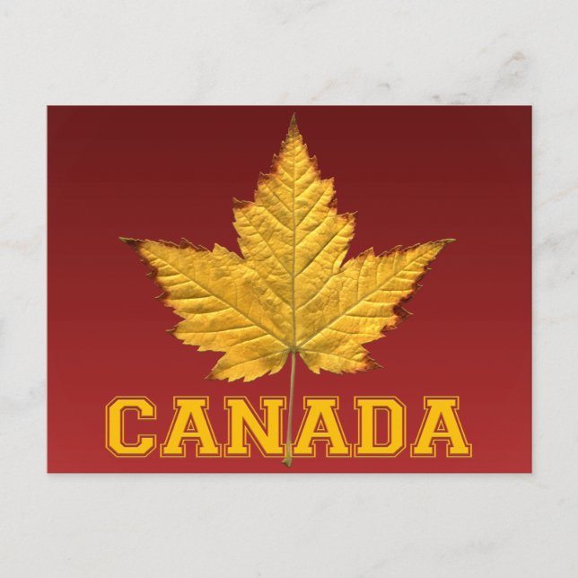 Cartões postais do Canadá Varsity Canada Souvenir (Frente)