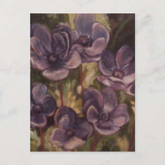 Cartões postais do Jardim lavanda