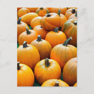 CARTÕES POSTAIS DO OUTONO PUMPKINS