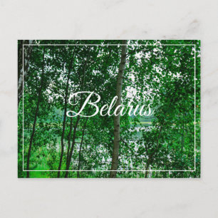 Cartões postais do Paisagem Natural Birch Belarus