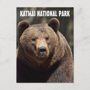 CARTÕES POSTAIS DO PARQUE NACIONAL KATMAI