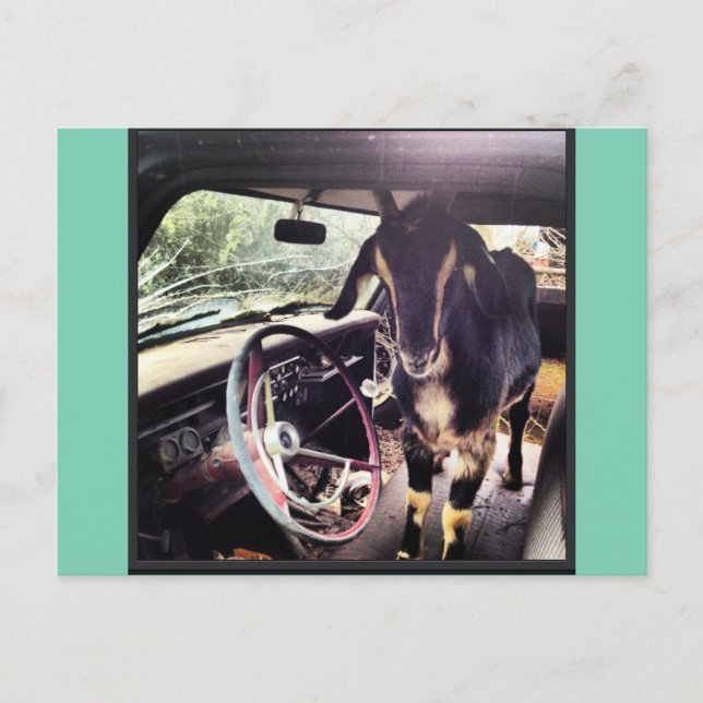 Cartões postais do Power Team (Frente)