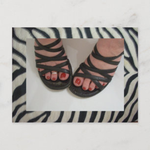 Cartões Postais do Zebra Pretty Toes