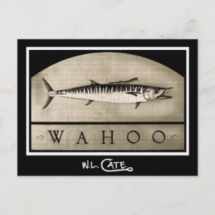 Cartões postais em branco e preto do Wahoo Vintag