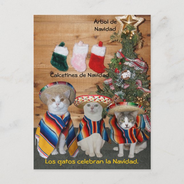 Cartões postais espanhóis Engraçados para Diversão (Frente)