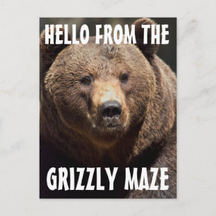 CARTÕES POSTAIS GRIZES DE MAZENAMENTO GRIZZZLY