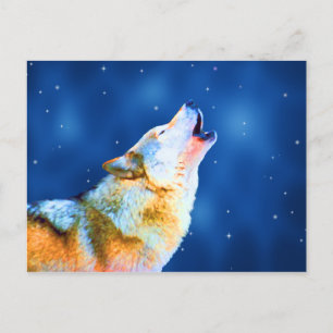 Cartões postais Midnight Howl