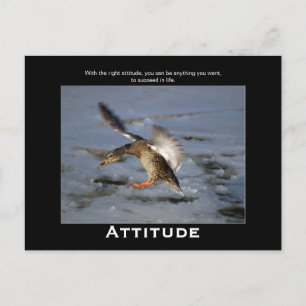 Cartões Postais Motivacionais do Attitude Mallard 