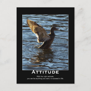 Cartões Postais Motivacionais do Attitude Mallard 