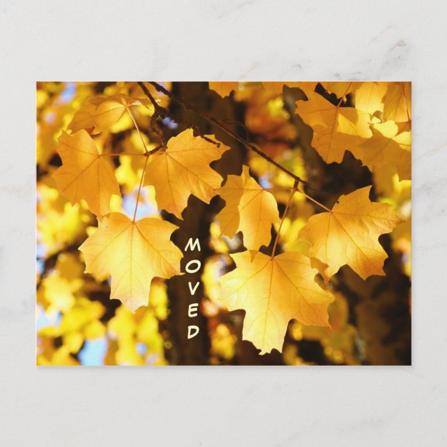 Cartões Postais Mudados Endereço Novo Personalizad (Frente)