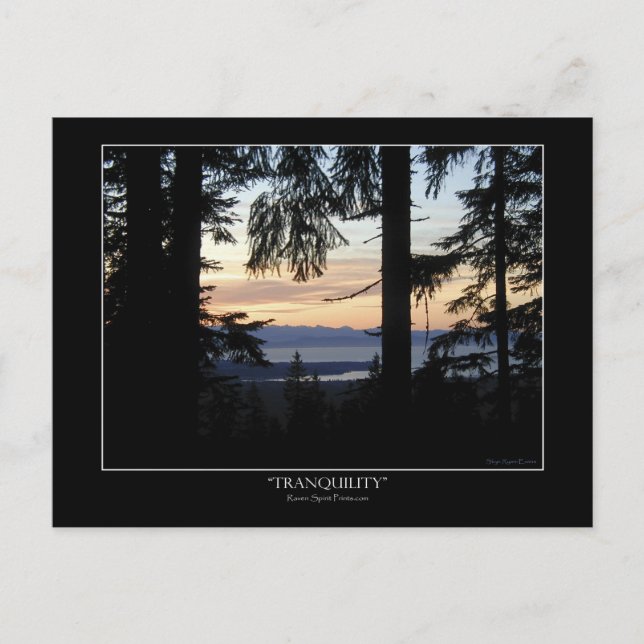 Cartões postais para cenários florestais (Frente)