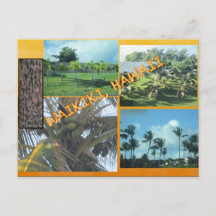 CARTÕES POSTAIS PERSONALIZADOS - COLAGEM DE HAWAII