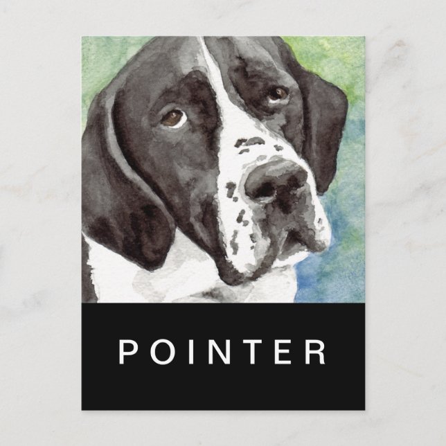 Cartões Postais Pointer (Frente)