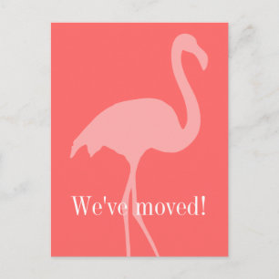 Cartões postais rosa-coral flamingo movendo-se par