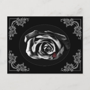 Cartões postais rosa preto Vampiro Gótico