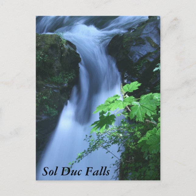 Cartões postais: Sol Duc Falls (Frente)