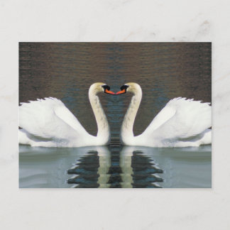 Cartões postais Swan Heart